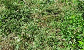 Imagem 2: Vendo ou troco terreno no Jardim Redentor