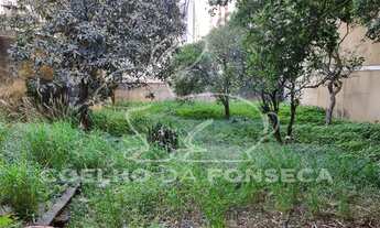 Imagem: São Paulo - Terreno Padrão - Vila da Saúde