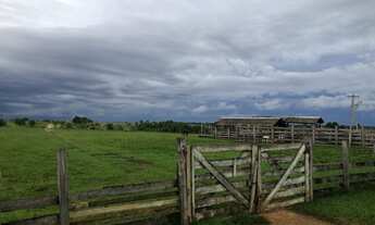 Imagem 6: Fazenda no Amajari