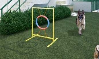 Imagem 6: APARTAMENTO - MORUMBI - SP