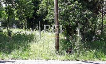 Imagem 3: Porto Alegre - Terreno Padrão - Bom Jesus