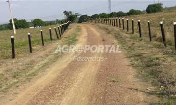 Imagem 5: Fazenda no Pará - Goianésia - 345 ha (71 alq