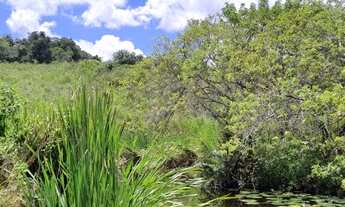Imagem 4: FAZENDA CORACAO DE MARIA