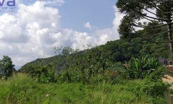 Imagem 6: Terreno para Venda em Gaspar, Bela Vista