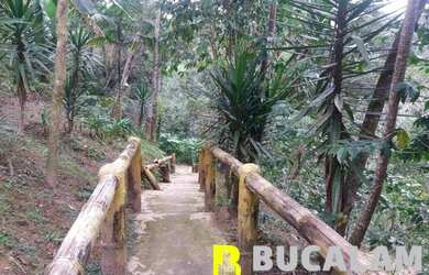 Imagem 12: CHÁCARA PARA VENDA/LOCAÇÃO EM SÃO LOURENÇO DA SERRA