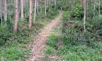 Imagem 5: ÁREA à venda com 90016.2m² por R$ 750.000,00 - CAMPO MAGRO / PR