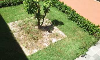 Imagem 5: Sobrado com 6 dorms e quintal com amplo jardim no centro do Bonfiglioli