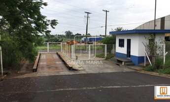 Imagem: Salão/Galpão (salão - térreo