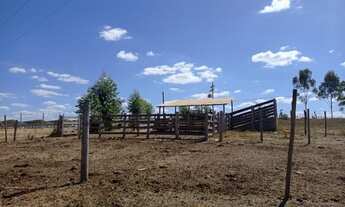 Imagem 3: Sitio de 4 hectares Toda Formada, Muita Água, Localizado no Santo Antônio do Descoberto