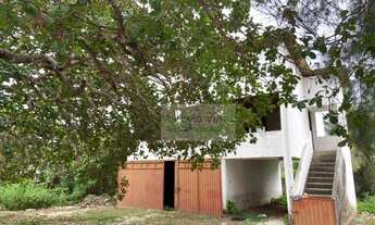 Imagem 5: Terreno perto da br-116 e da Fábrica Fortaleza