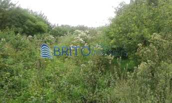 Imagem 4: Terreno em Vila Fatima-Gravatai