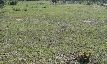 Imagem 3: Vendo ou troco em carro terreno 18 pó 20 em São Gonçalo do Amarante próximo do aeroporto