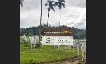 Imagem 4: Fazenda para Pecuária ! Região de Campinaçu ! 143,5 Alqueires !