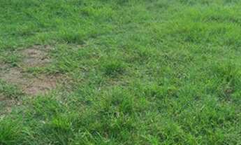 Imagem 5: Fazenda interior de SP