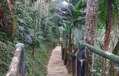 Imagem 13: CHÁCARA PARA VENDA/LOCAÇÃO EM SÃO LOURENÇO DA SERRA