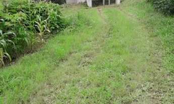 Imagem 2: Sítio a venda em Mogi das Cruzes