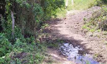 Imagem 7: FAZENDA CORACAO DE MARIA