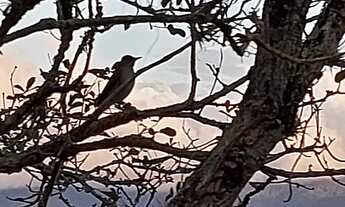 Imagem 4: Praia do Arrastão - São Sebastião - SP Vem ser feliz!!
