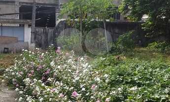 Imagem 5: Magnífico terreno, juntinho a Rua Barreiros