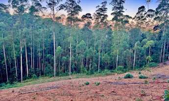 Imagem 2: Chácara escritura com nascente