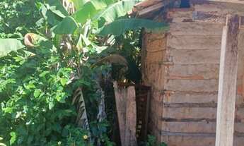 Imagem 5: Lote Sítio novo do Tocantins