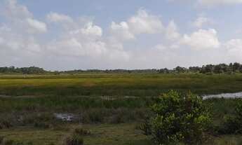 Imagem 2: Sítios em barreirinhas 5.000 mt2 parcelados