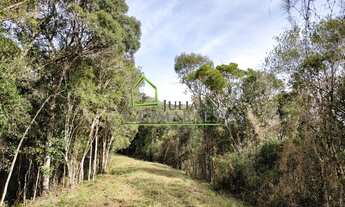 Imagem 7: RANCHO QUEIMADO - SC LINDO Terreno com 10 HECTARES com NASCENTE