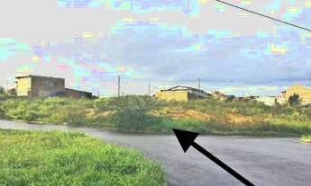 Imagem 4: Porto Alegre - Terreno Padrão - Mário Quintana