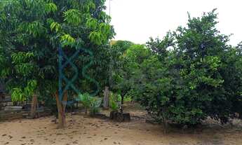 Imagem 2: Chácara com 2 dormitórios à venda, 34500 m² por R$ 550.000 - Assentamento 12 de Outubro