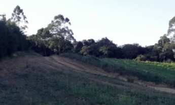 Imagem: Invista com lotes imperdíveis