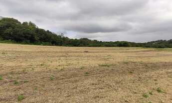 Imagem 6: CAMPO LARGO - Chácara - BOTIATUVA