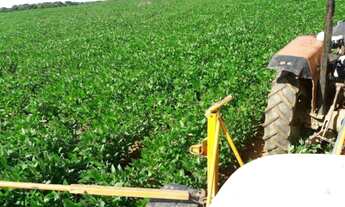 Imagem 6: 66 Alqs Soja Plana Ótima de Argila e Água Região Pedro Afonso TO