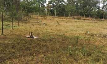 Imagem 3: 3000 metros com menor valor !!!