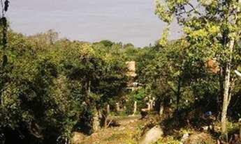 Imagem 5: Porto Alegre - Terreno Padrão - Sétimo Céu