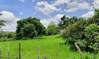 Imagem 5: Fazenda linda São Felipe 305 tarefas Com Rio Cortando Clima solos Pecuária Porteira Fechad