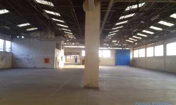 Imagem 3: COMERCIAL - LIMÃO - SP