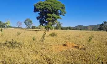 Imagem: Chácaras em Goiânira 4 km de estrada de