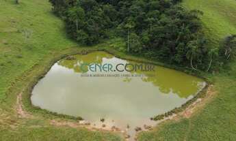 Imagem 6: ESPETACULAR FAZENDA DE 195 HA COM IMPONENTE CASARÃO SECULAR
