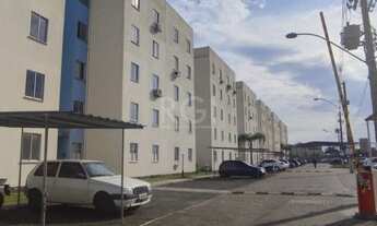 Imagem 7: Porto Alegre - Apartamento Padrão - Restinga