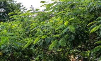 Imagem 4: Porto Alegre - Apartamento Padrão - São João