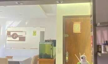 Imagem 2: Apartamento com 2 dormitórios para alugar, 55 m² por R$ 1.433,00/mês - Jardim Irajá - São