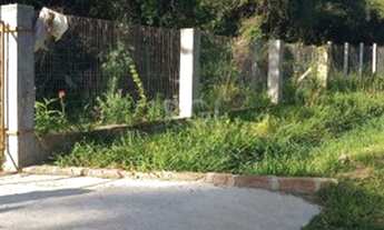 Imagem 2: Porto Alegre - Terreno Padrão - Lageado