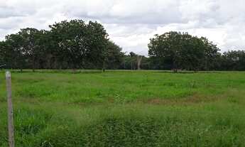 Imagem 4: Fazenda a venda em Cocalinho - MT