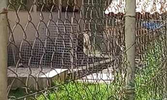 Imagem 7: Apartamento 98m2 Fontes Ville,3 quartos,1suite,sala ampla, cozinha, sacada, área gourmet