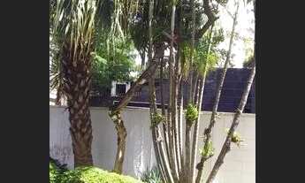 Imagem 2: Apartamento para Locação, Bosque da Saúde, 2 dormitórios, 2 banheiros, 1 vaga