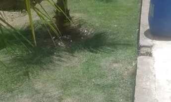 Imagem 4: Terreno Com Duas Casas