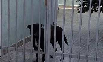 Imagem 3: Casa a venda Casa com 3 dormitórios