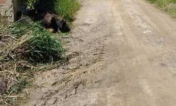 Imagem 4: 1 tarefa de terra