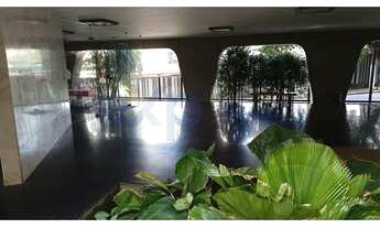 Imagem 3: Apartamento reformado com 3 dormitorios na Alamenda Franca