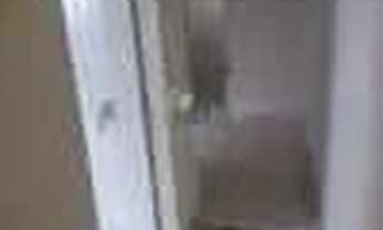 Imagem 2: Casa com 1 dormitório para alugar, 55 m² por R$ 1.200,02/mês - Vila Matias - Santos/SP